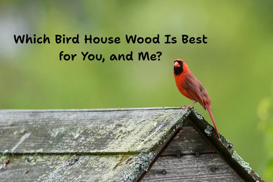 birdhouses wood compare