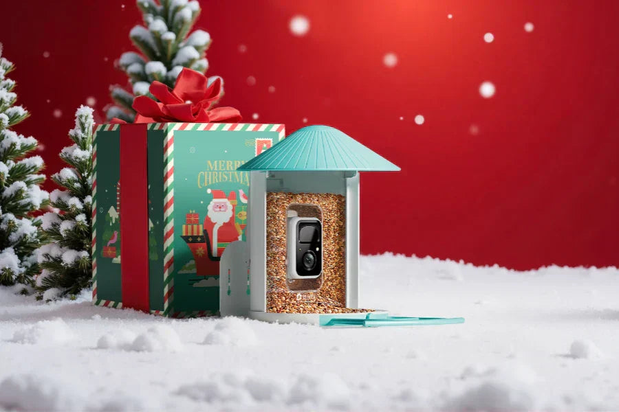 best christmas gifts for grandparents