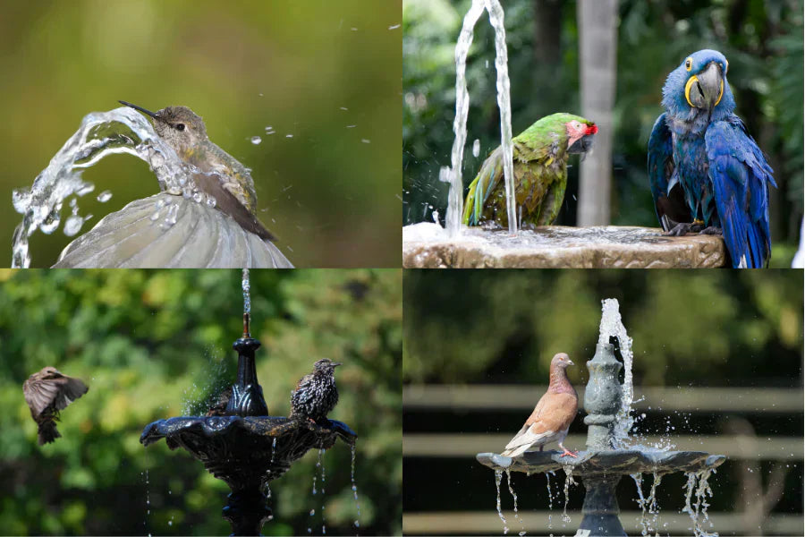 bird bath fountain
