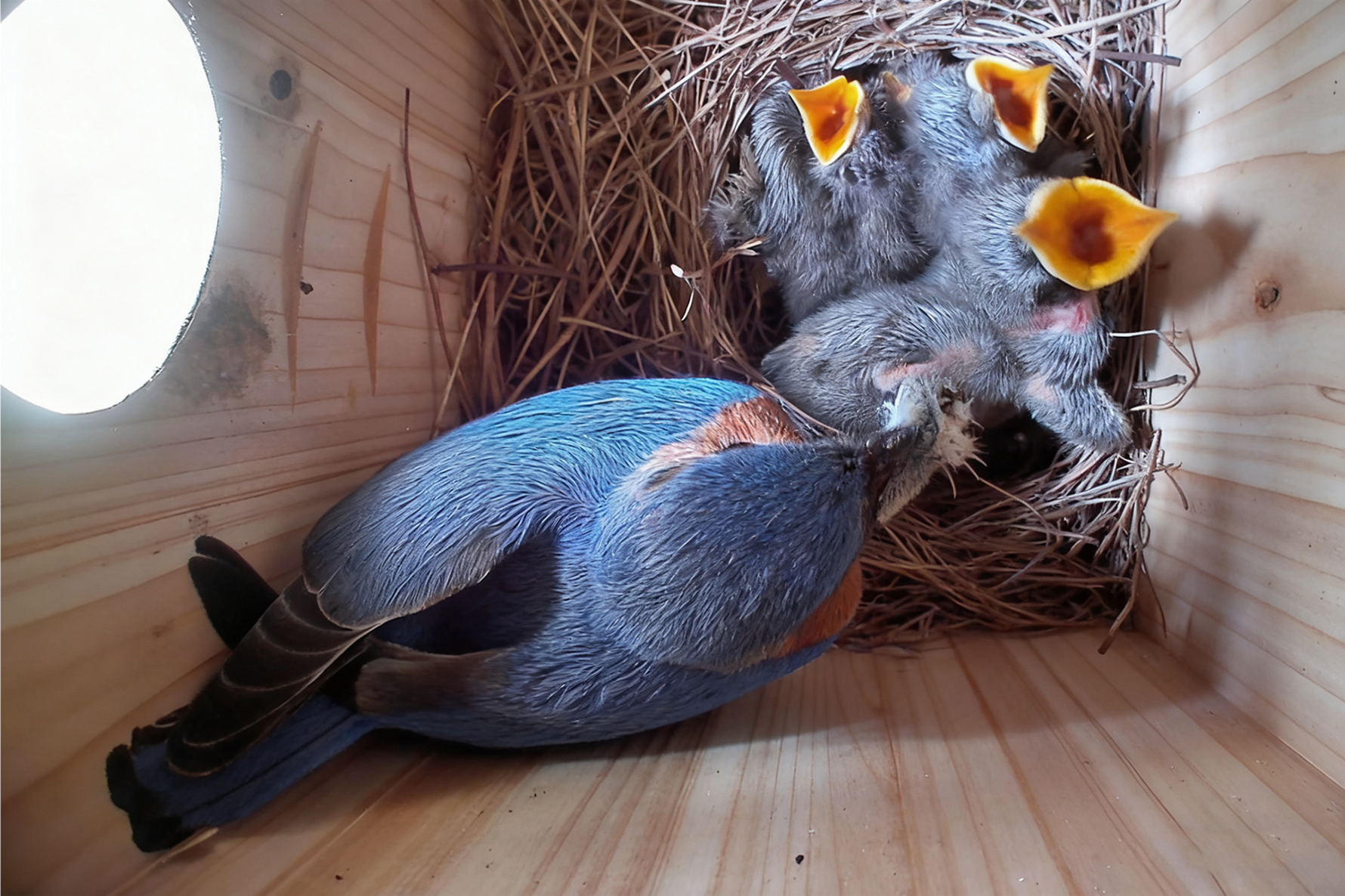 From Birdhouse Moments to the Distance Between Us and Our Parents