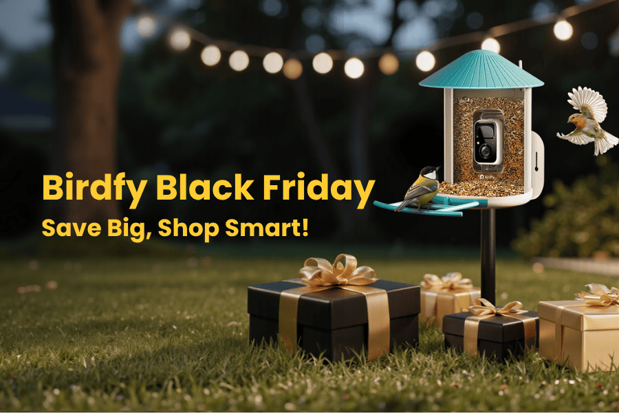 Birdfy Black Friday 2026: Up to 55% Off Every Smart Bird Feeder