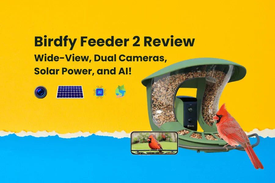 BIrdfy feeder 2 review