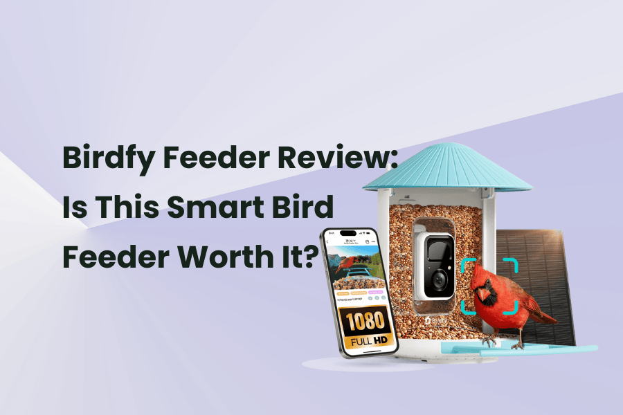 Birdfy Feeder real-wolrd review