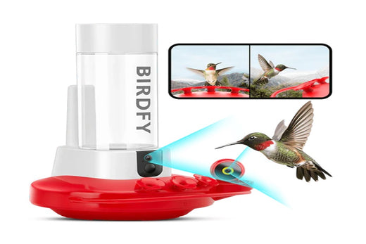 Some Critical Hummingbird Feeder FAQs You Must Know