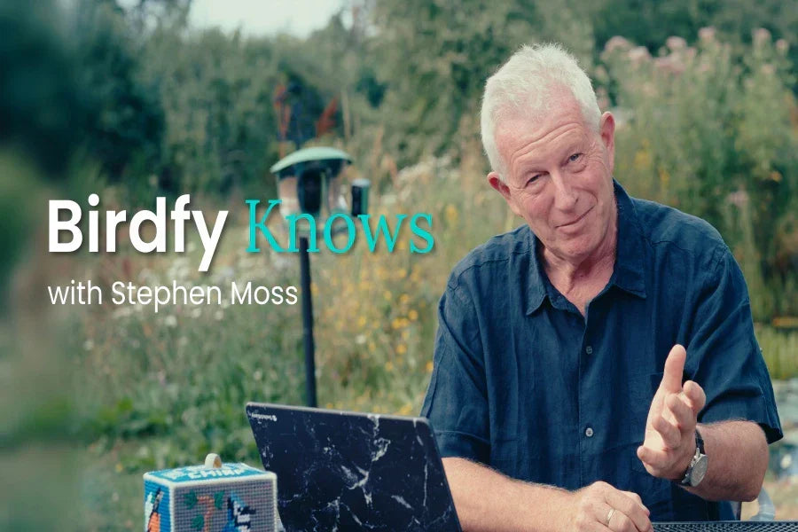 Birdfy Knows bird questions and answers