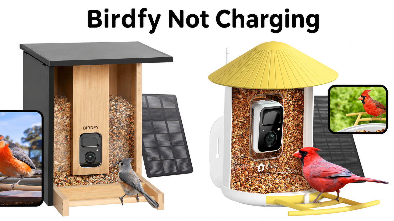 How to Charge Birdfy: 2026 Guide to Fixing Birdfy Not Charging Issues