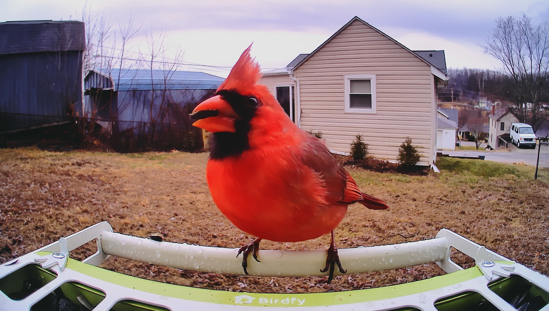 Top 10 Modern Bird Feeder In The U.S. Of 2025