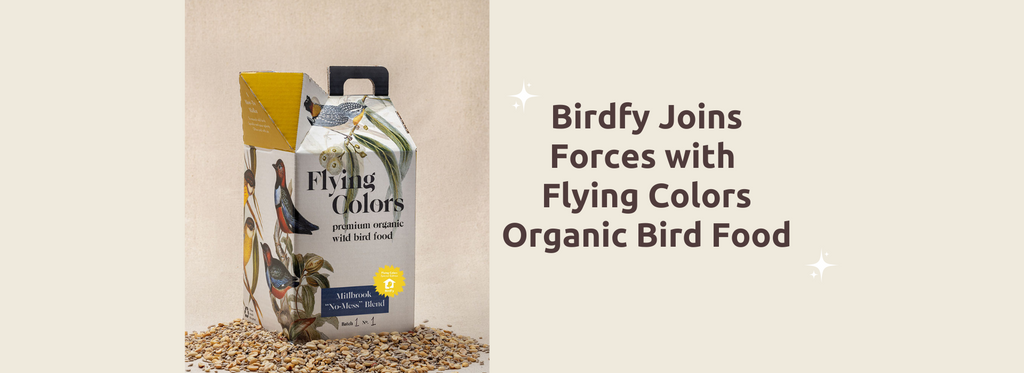 Birdfy Joins Forces with Flying Colors: Enhancing Bird Care with Ethical and Premium Seed Solutions