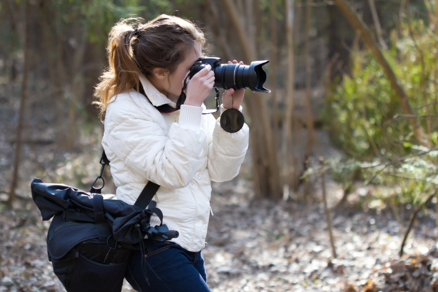 How to be a Birder Series 3: Identifying Birds by Appearance
