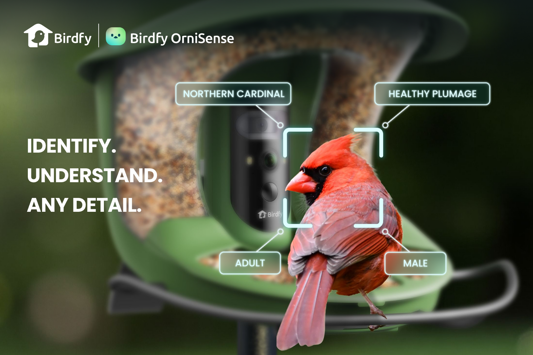 Birdfy Unveils OrniSense: The World's First LLM-Powered Birdwatching AI