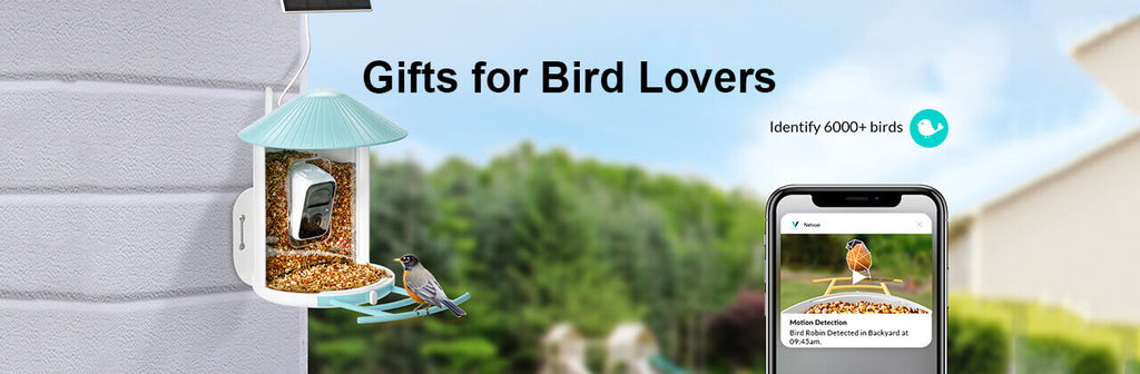 Finding the Perfect Gift for the Bird Lovers