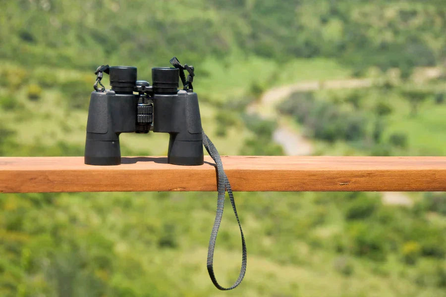 How to be a Birder blog 8: A Local Patch