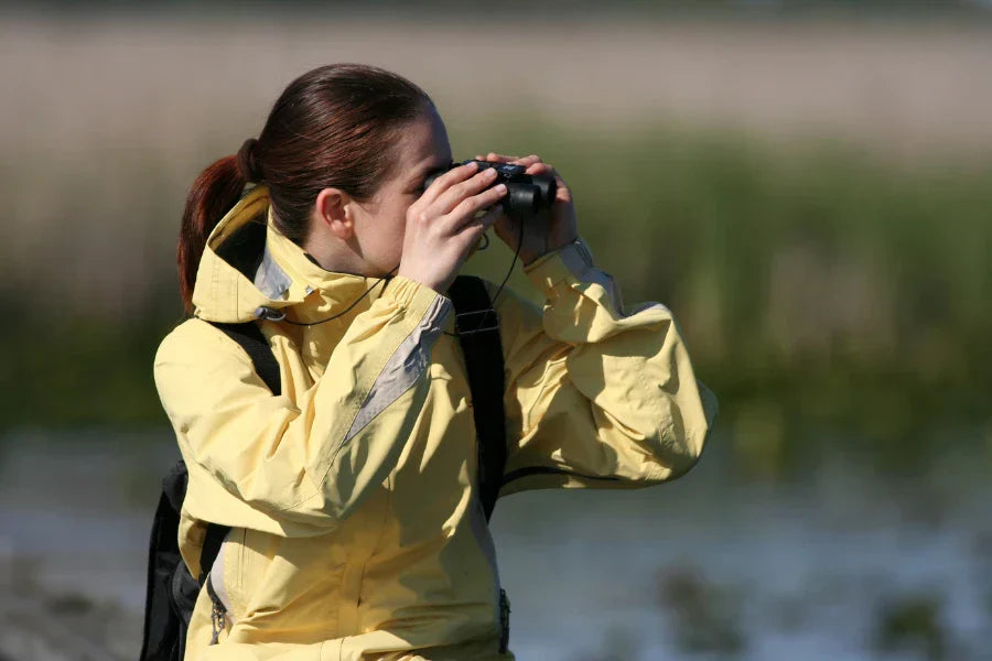 How to be a Birder: Fieldcraft