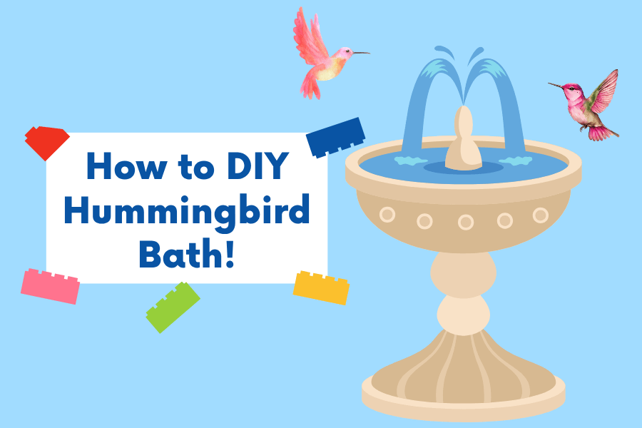 how to diy hummingbird bath