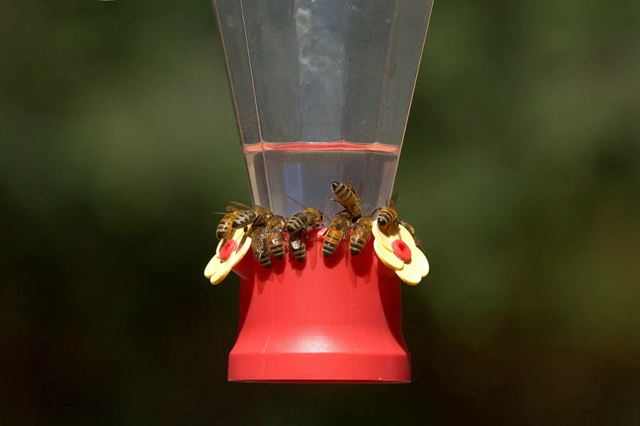 how to keep bees off hummingbird feeder
