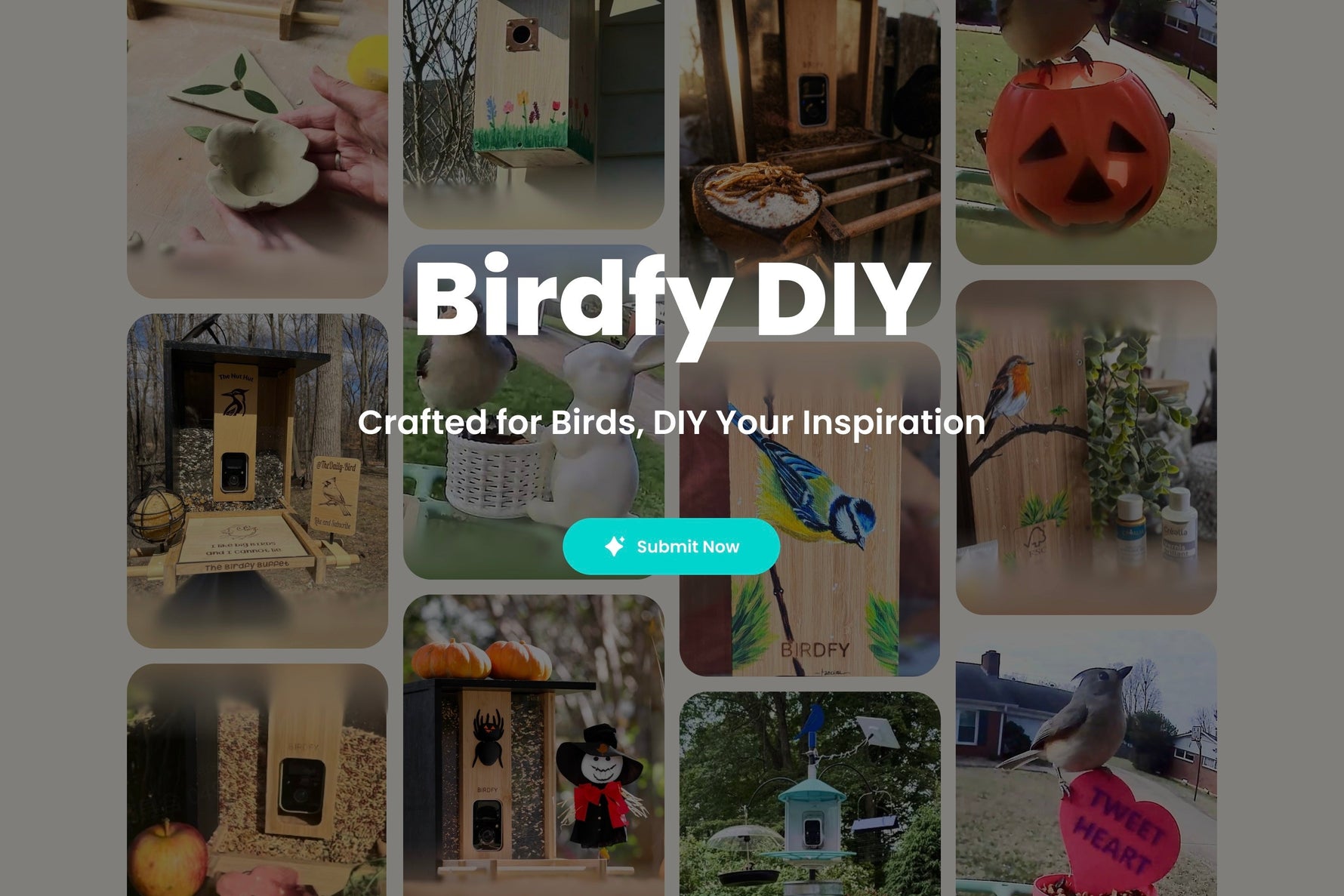 The First Birdfy DIY Challenge Officially Wraps Up