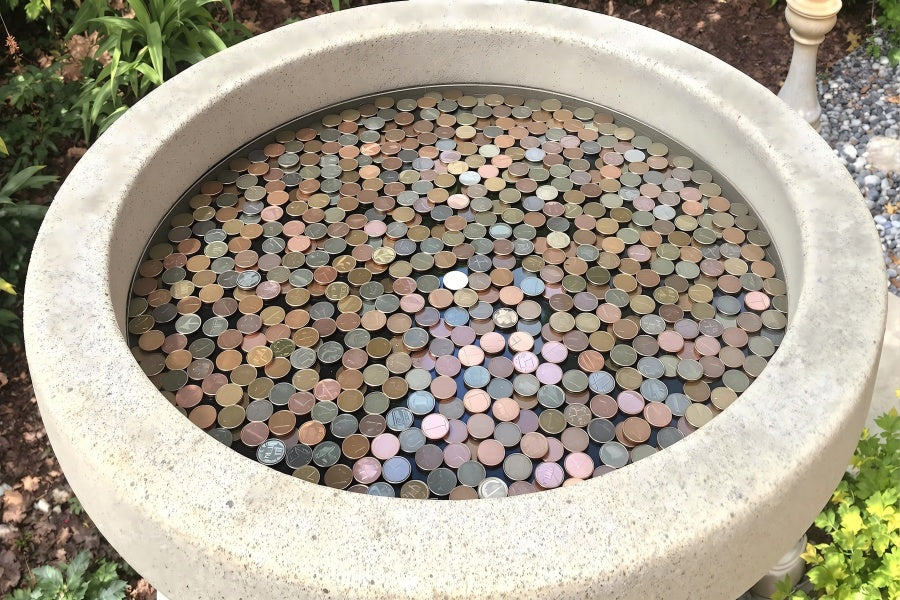 Should You Put Copper Pennies in Your Birdbath