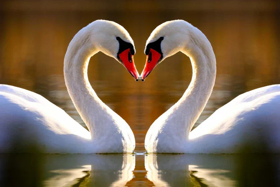 what birds mate for life