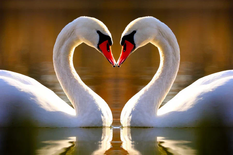 what birds mate for life