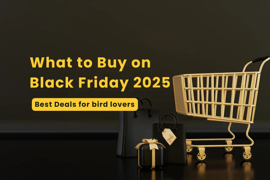 what are the best things to buy on black friday