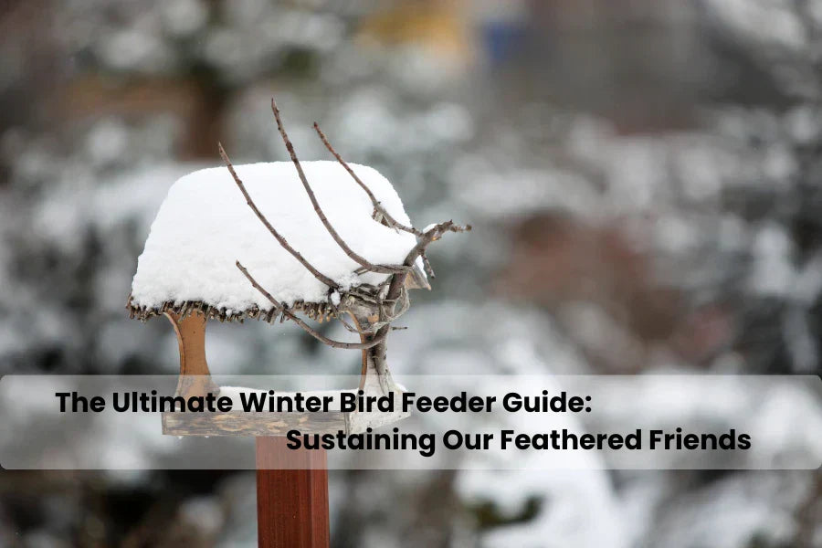 bird feeder for winter
