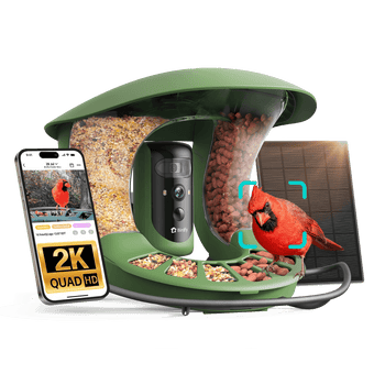 Birdfy Feeder 2 Pro