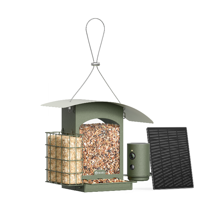 Birdfy Feeder Metal A - Smart Metal Feeder with Solar panel