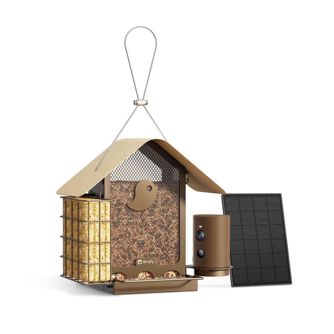Birdfy Feeder Metal V - Smart Metal Feeder with Camera