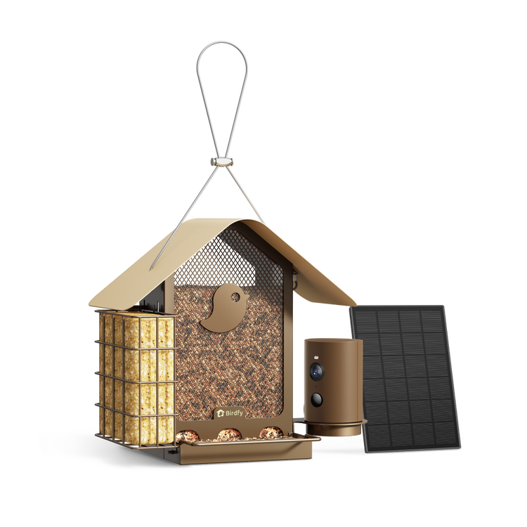 Birdfy Feeder Metal V - Smart Metal Feeder with Camera