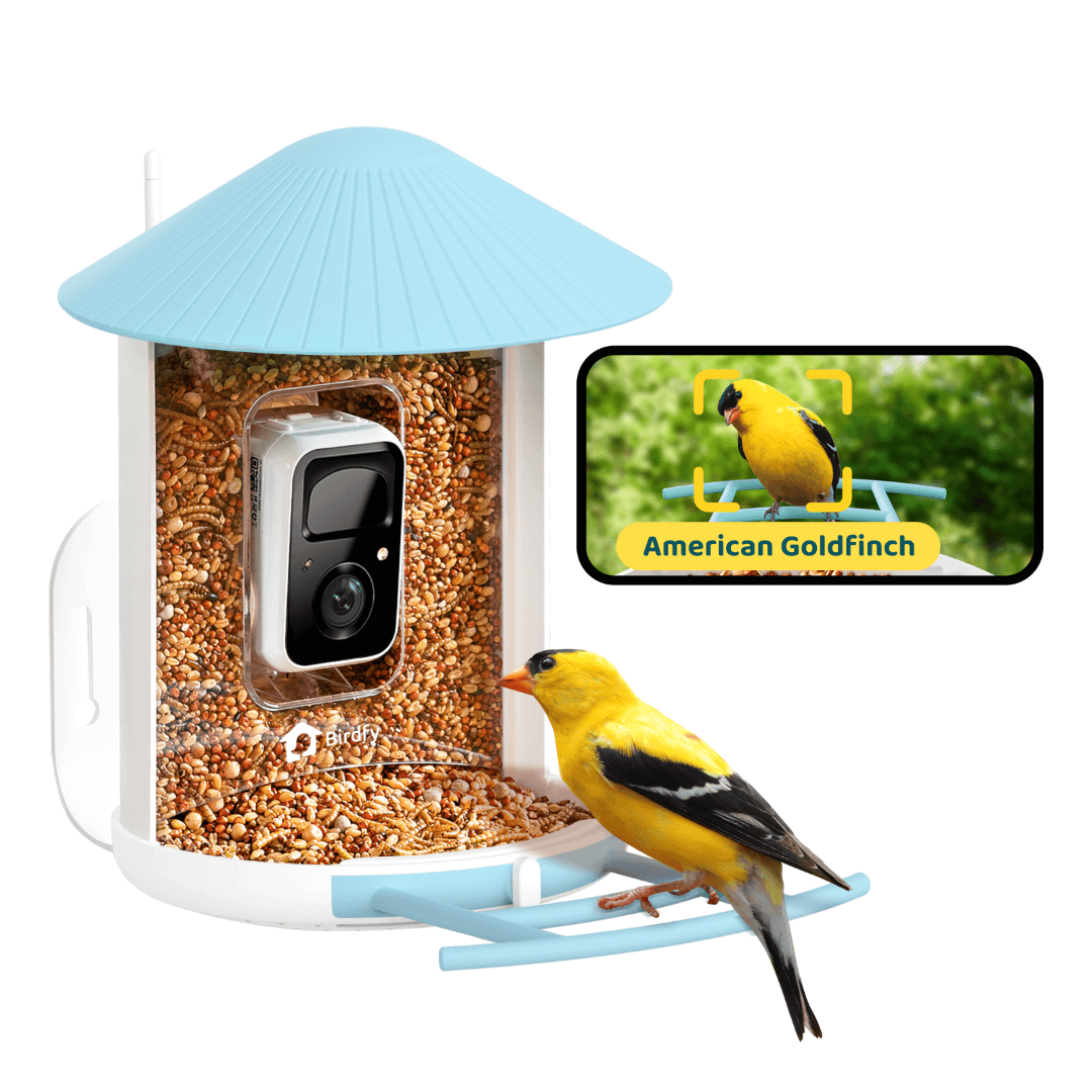 Birdfy Feeder - AI-Powered Smart Bird Feeder with Camera