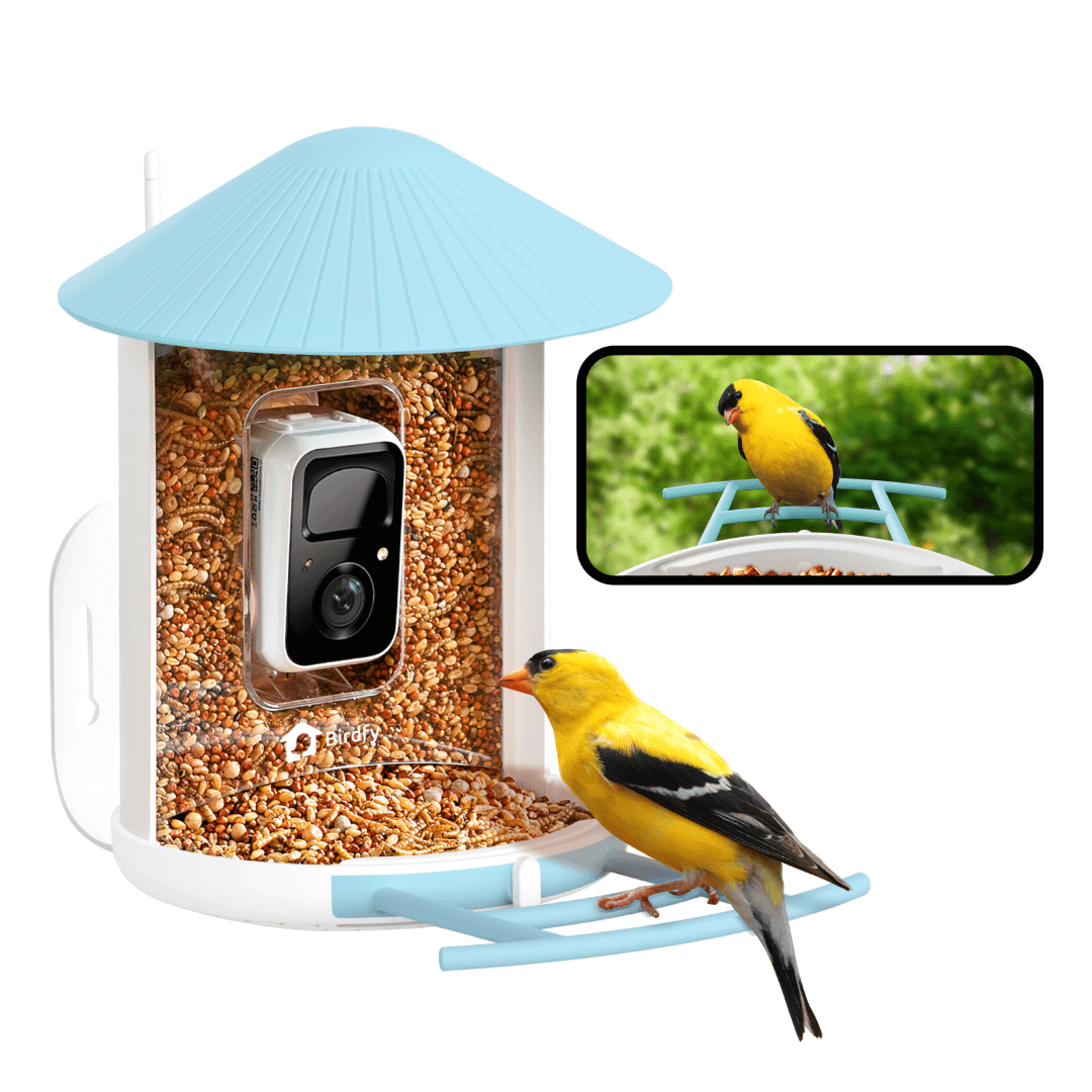 Birdfy Feeder - Bird Feeder Camera