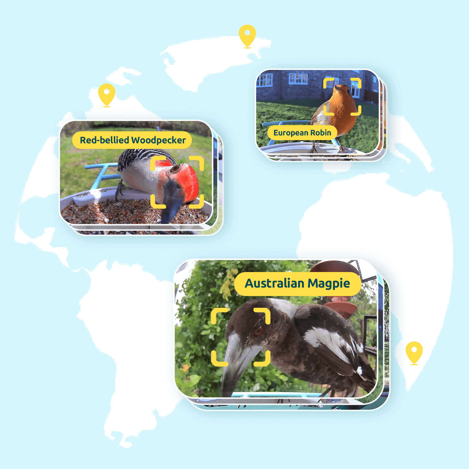 AI Bird Recognition Subscription Plans