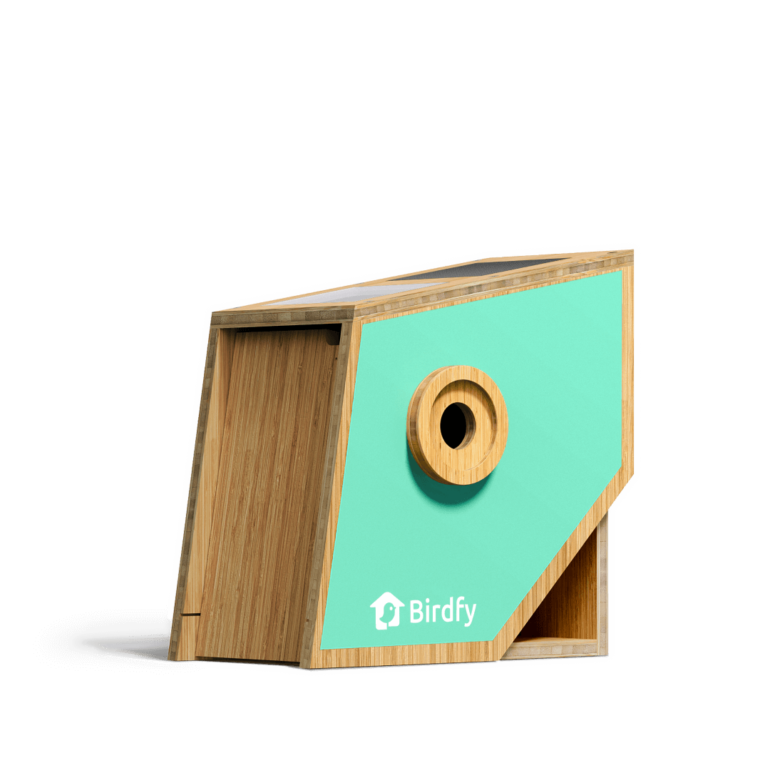 Birdfy Bird Nest