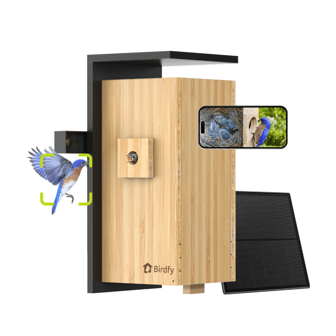 Birdfy Nest Duo - Smart Bird House with Dual Cameras