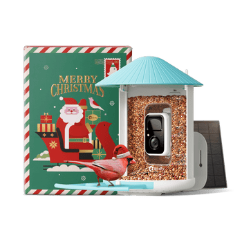 Birdfy Feeder