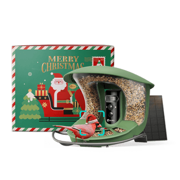 Birdfy Feeder 2 Pro