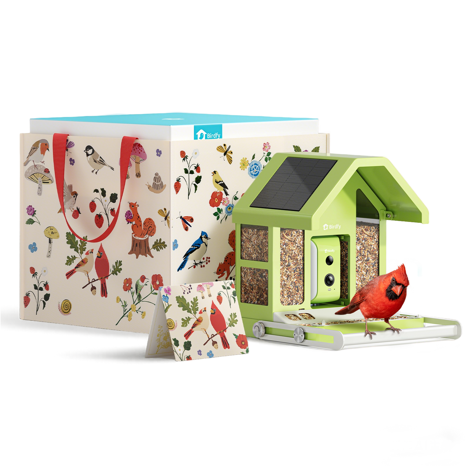 Birdfy Feeder Metal - Limited Father's Day Gift Set