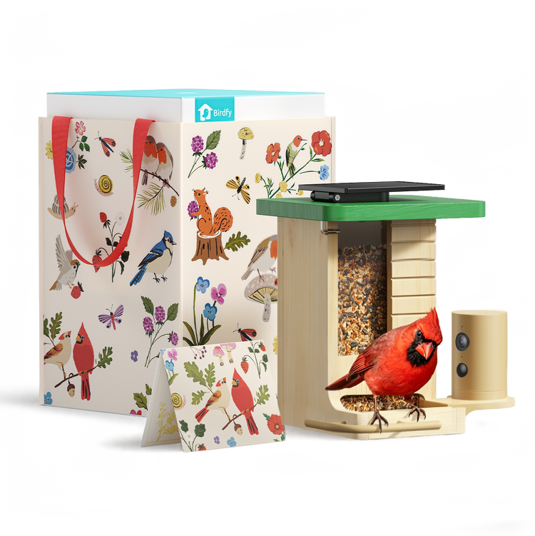 Birdfy Feeder Wood - Limited Gift Set | Smart Bird Feeder with Camera