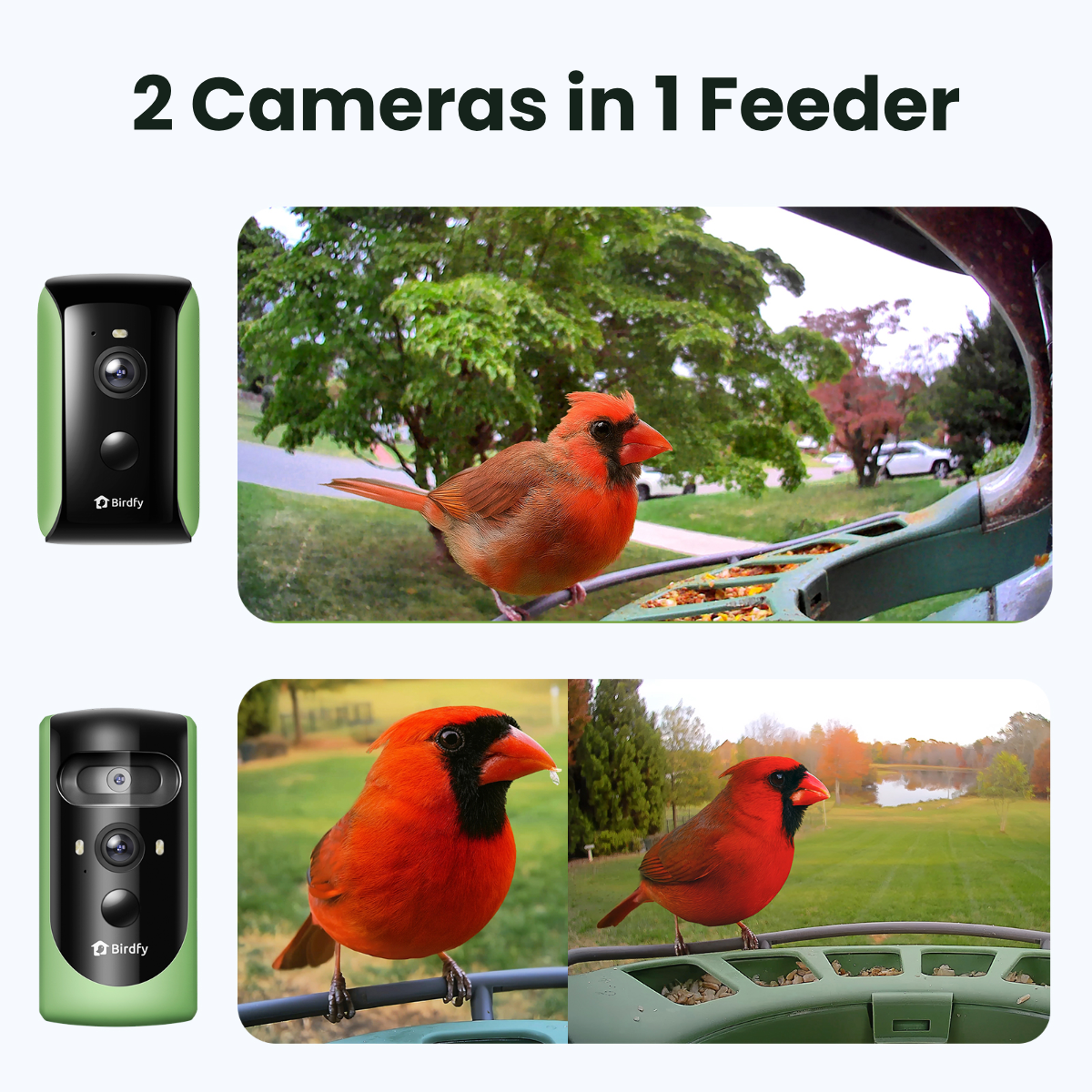 Birdfy Feeder 2 Duo - Triple-Lens Smart Bird Feeder with Cameras