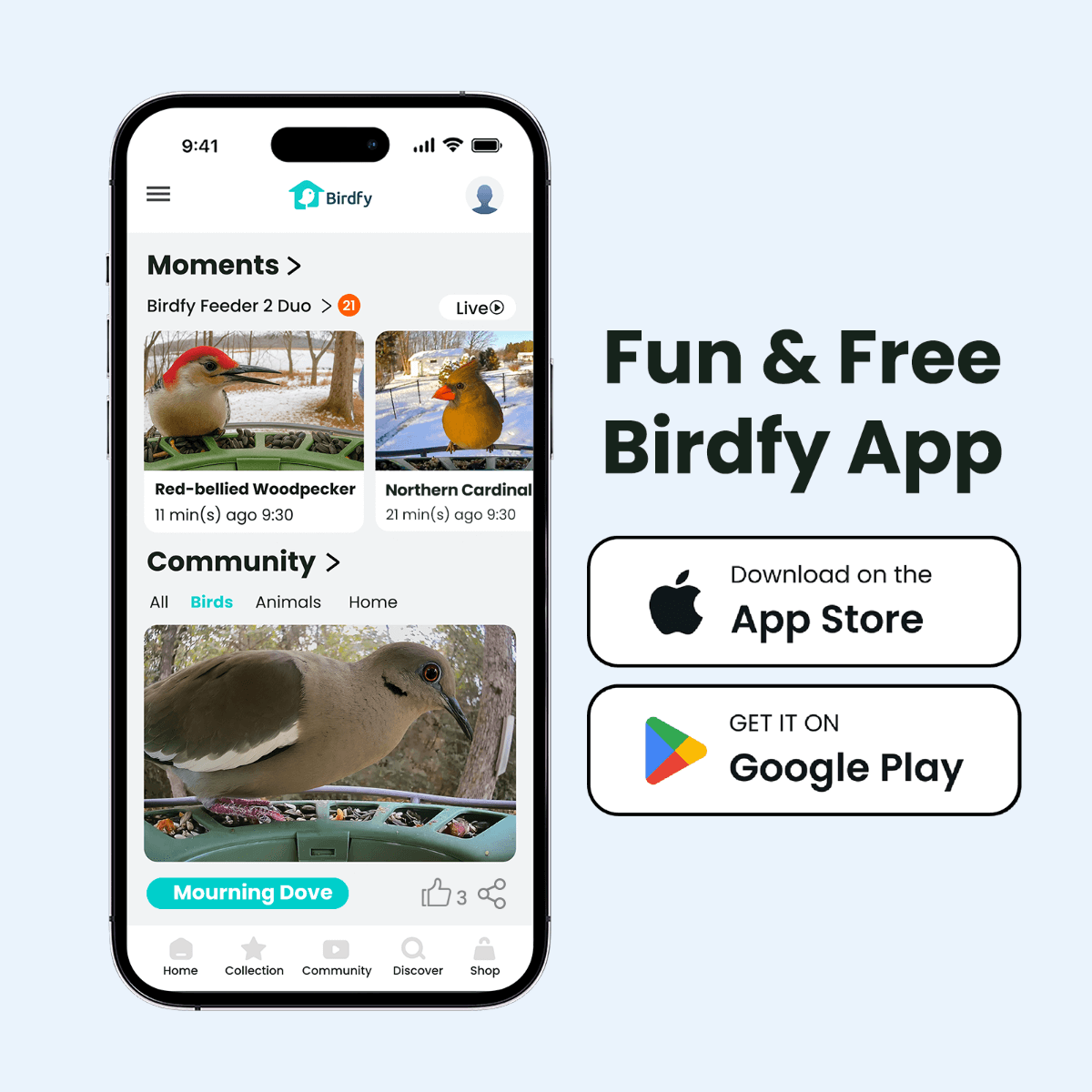 Birdfy Feeder 2 Duo - Triple-Lens Smart Bird Feeder with Cameras