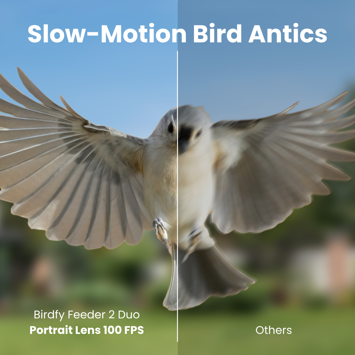 Birdfy Feeder 2 Duo - Triple-Lens Smart Bird Feeder with Cameras