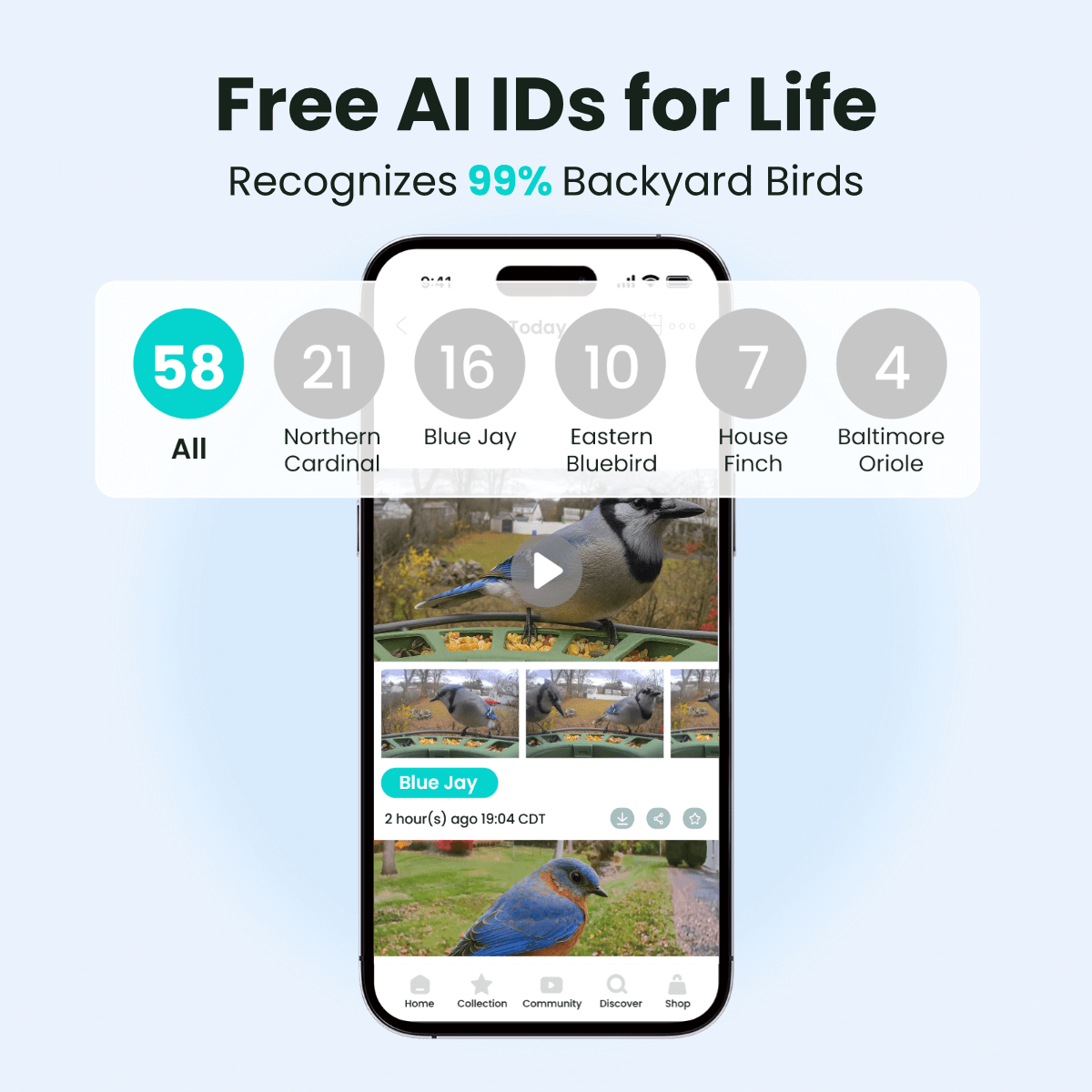 Birdfy Feeder 2 Duo - Triple-Lens Smart Bird Feeder with Cameras