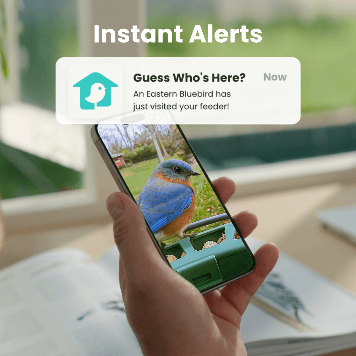 Birdfy Feeder 2 Duo - Triple-Lens Smart Bird Feeder with Cameras