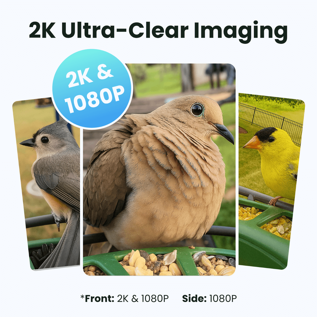 Birdfy Feeder 2 Duo - Triple-Lens Smart Bird Feeder with Cameras