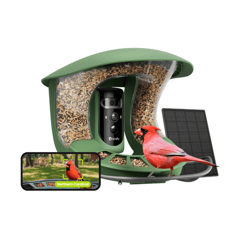 Birdfy Feeder 2 Pro