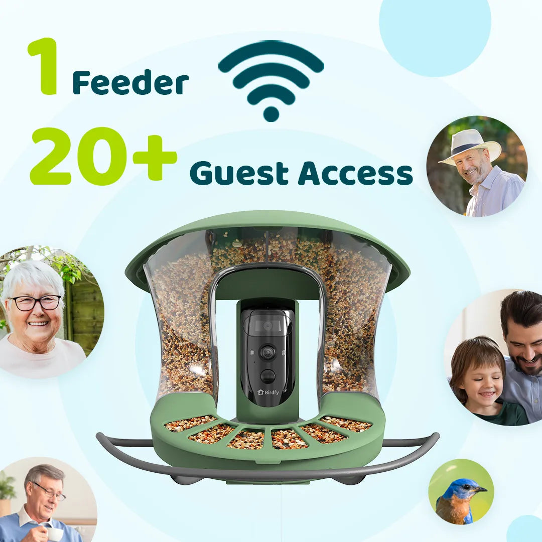 Birdfy feeder2 pro