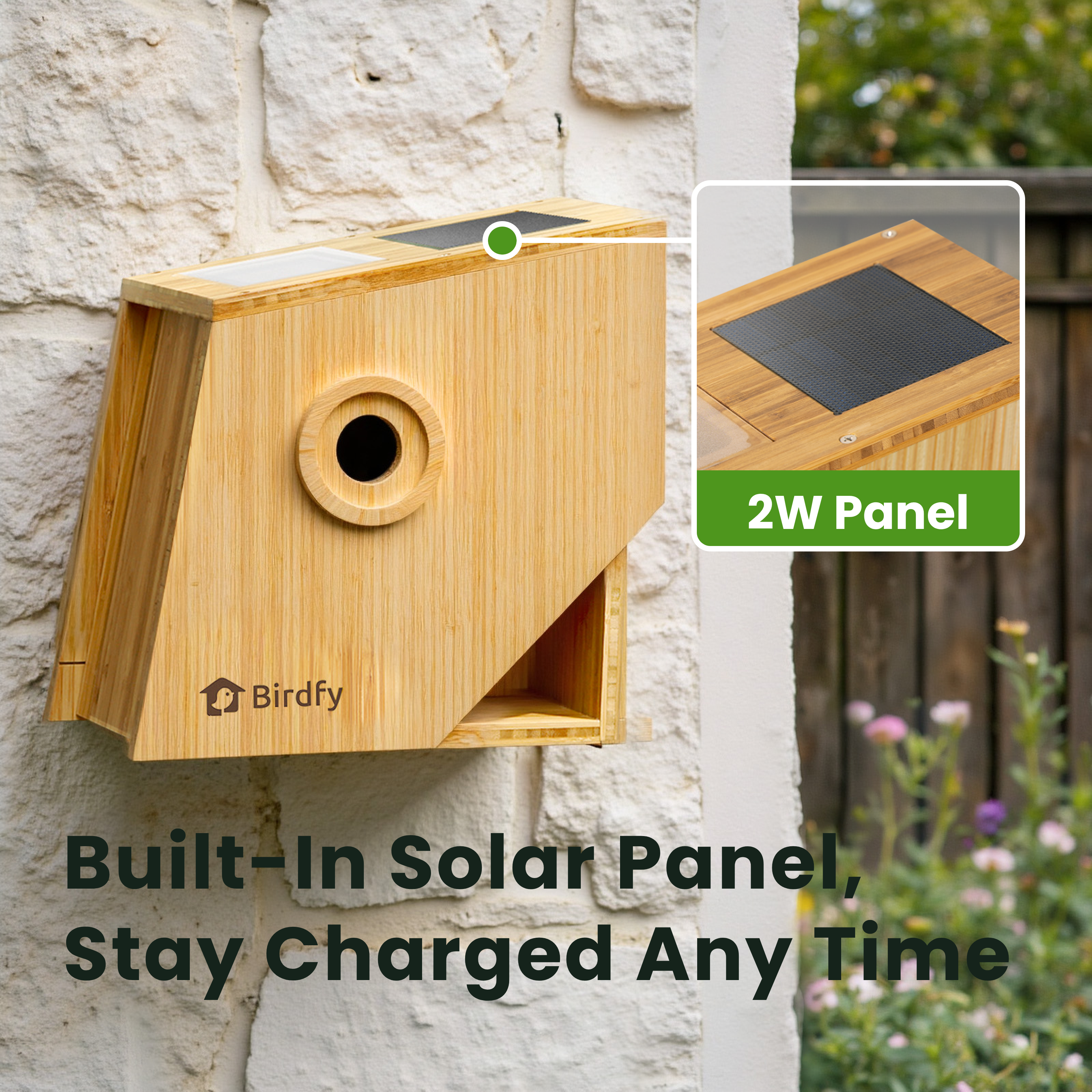 Birdfy Nest polygon birdhouse with camera