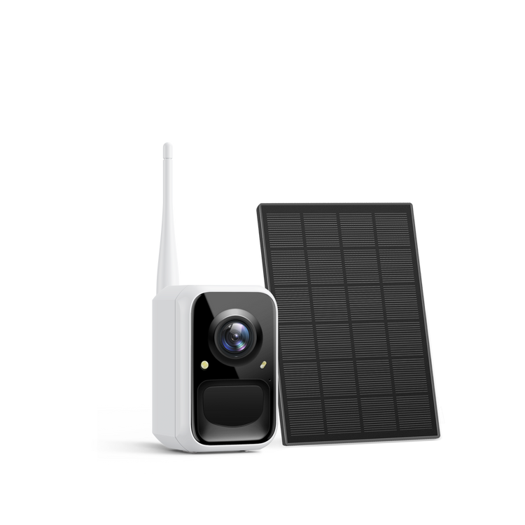 Birdfy Cam 2K - Smart Birdwatching Camera Traditional bird feeder companion