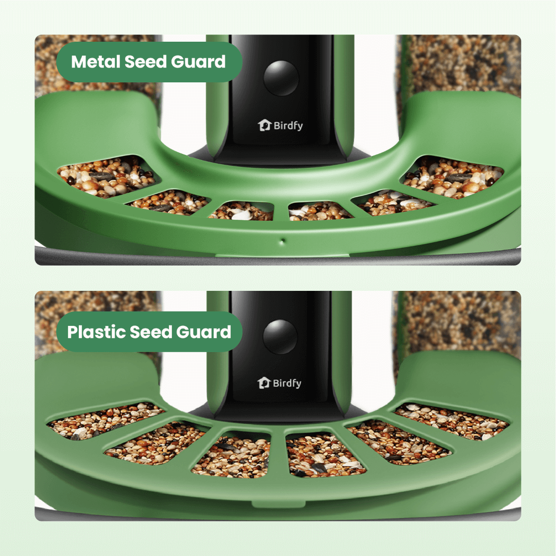 Birdfy Metal Seed Guard - A solid metal guard customized for Birdfy Feeder 2 Series