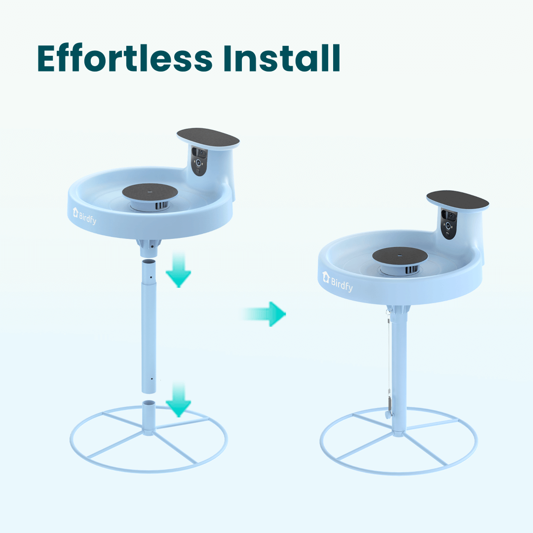 Birdfy Bath Pro Stand